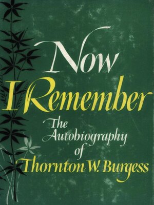 cover image of Now I Remember